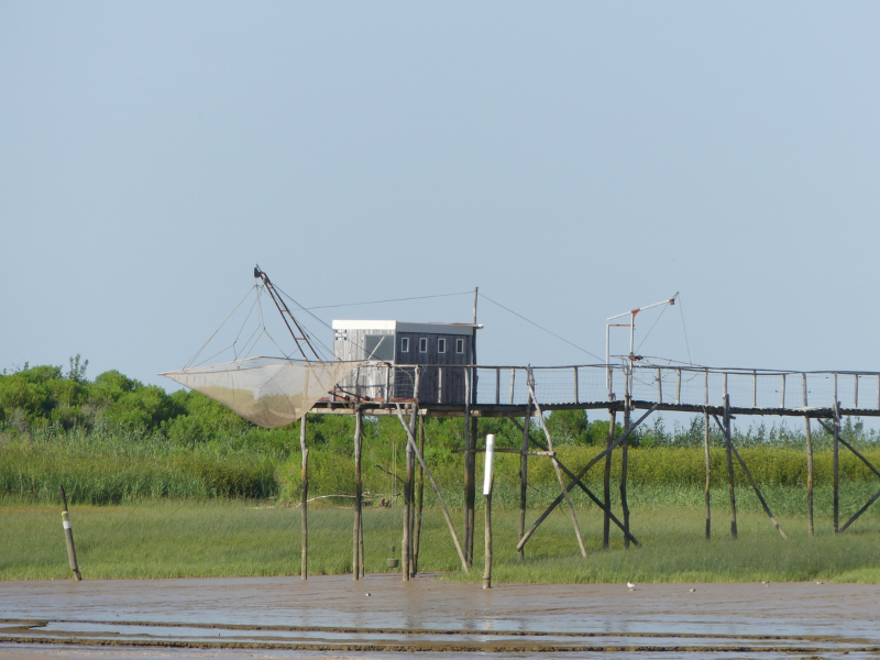Croisière du dimanche sur l'estuaire à Terres d'Oiseaux, Braud-et-Saint-Louis - photo 6