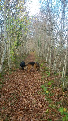 Boucle des Murs en pierres séches