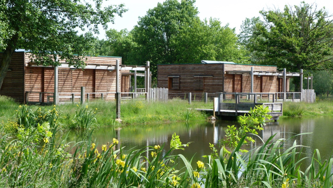 Camping Les Adillons, Luché-Thouarsais - photo 7
