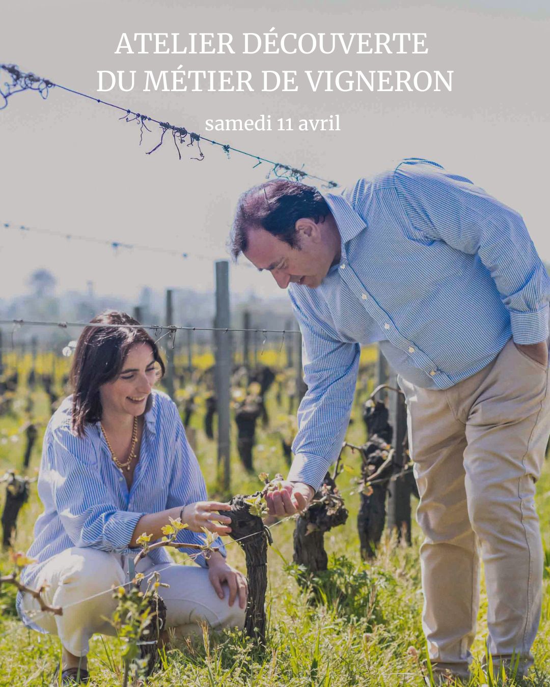 Atelier : découverte du métier de vigneron au Château Haut Chaigneau