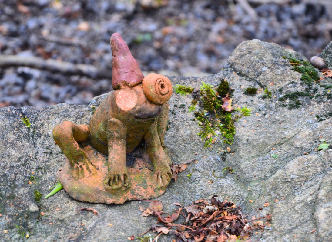 La Lande à serpentine de la Rousseille, Saint-Hilaire-les-Places - photo 10