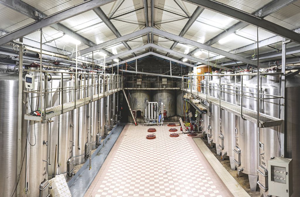 Guided tour & local produces | Domaine de Grange Neuve, Pomport