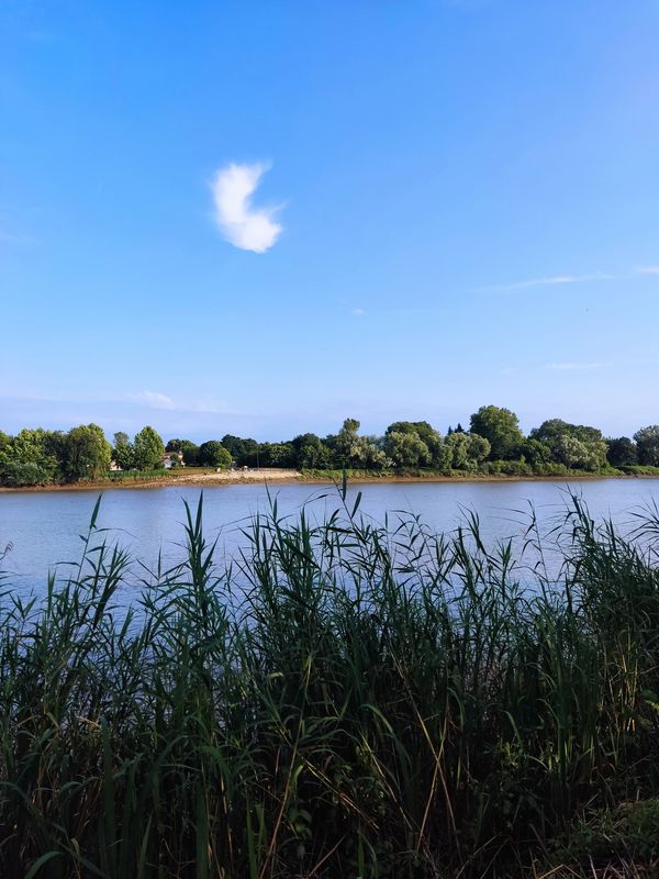 Soirée mascaret, Libourne