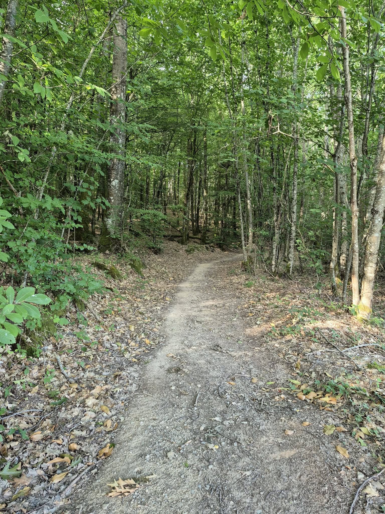 Circuit pédestre n° B3 Le Bois de l'Age