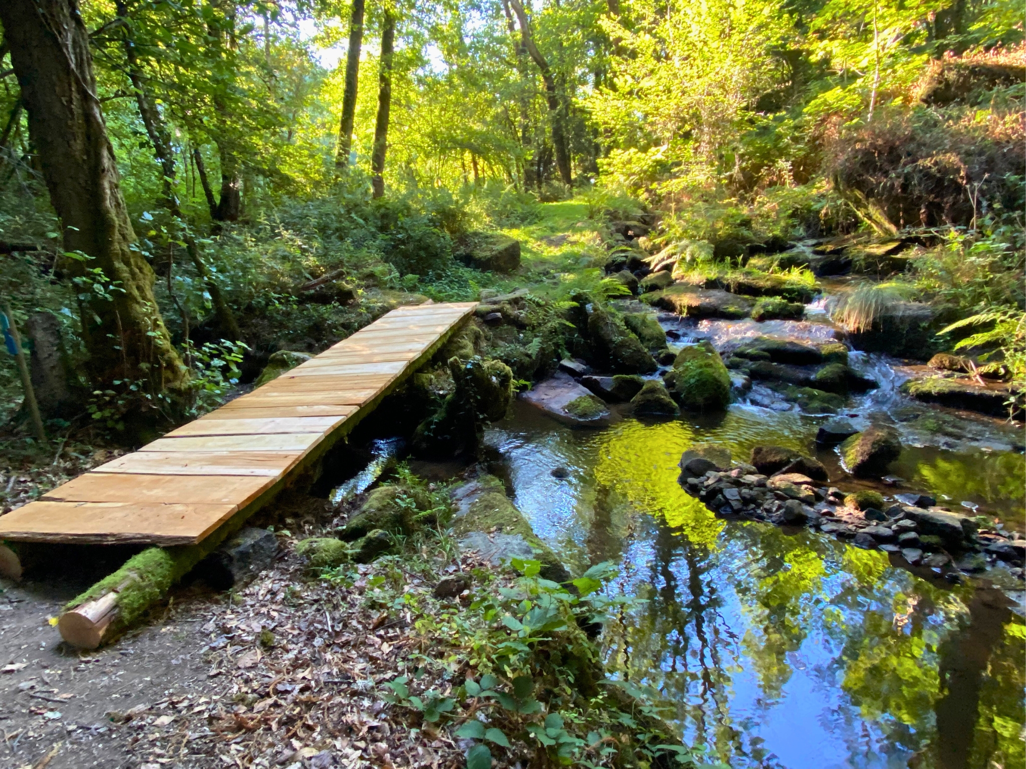 Appartement des Sources de la Chabanne - photo 4