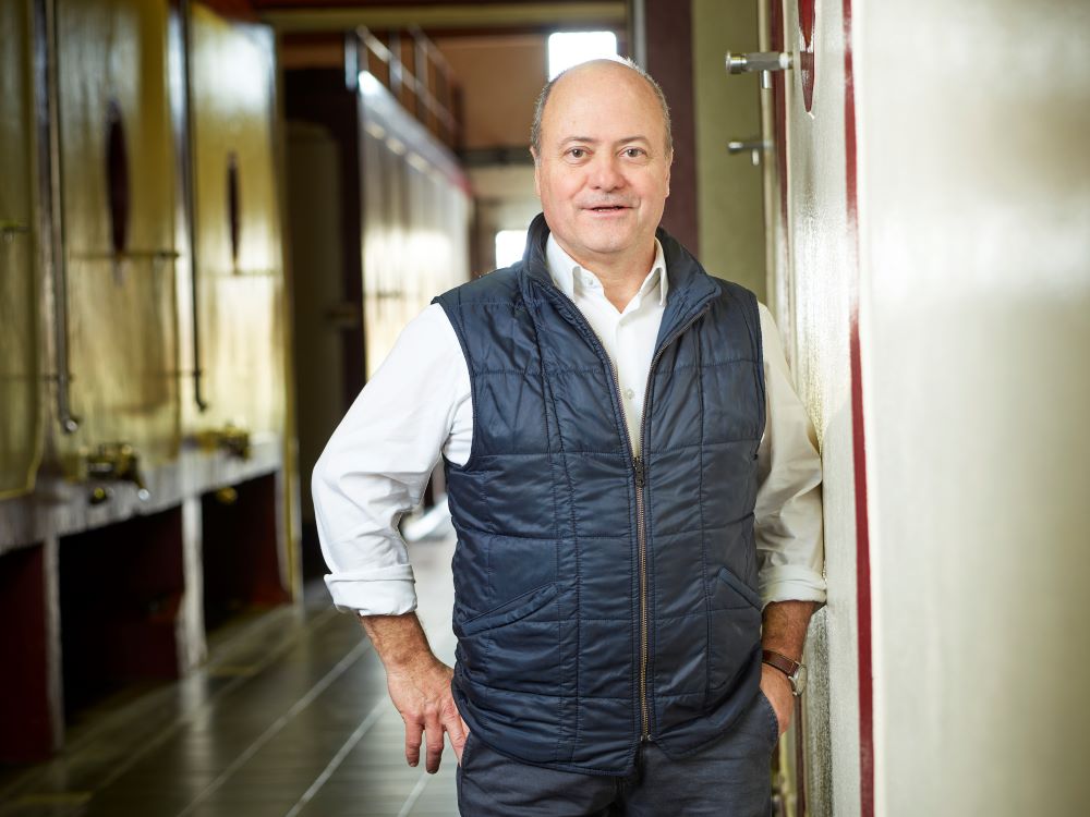 Château Grand Corbin-Despagne - photo 5