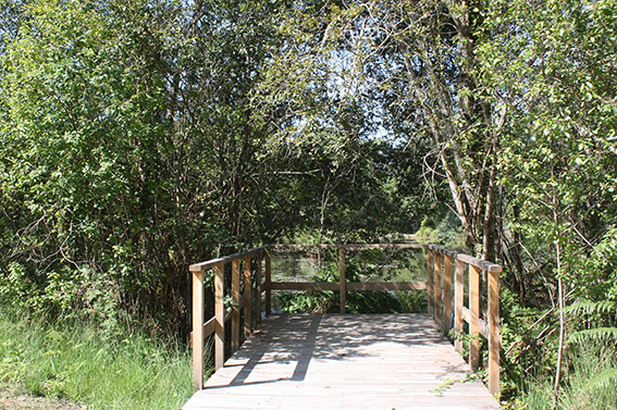 A Bostens, petit circuit des 9 fontaines, Bostens - photo 6