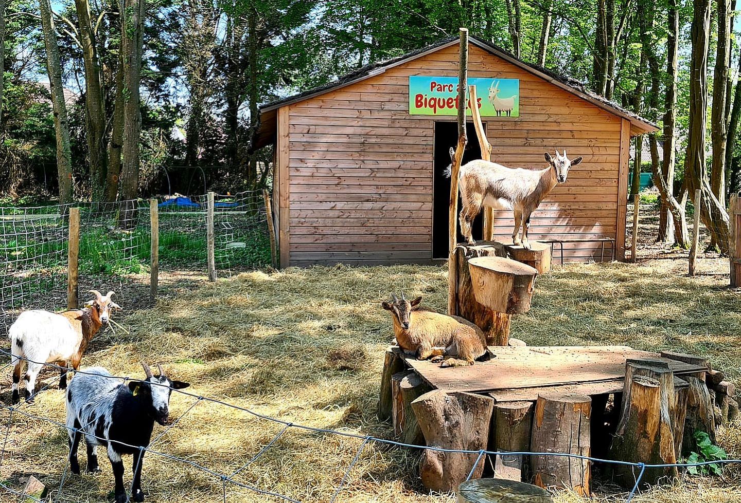 Acrojungle Outdoor, Serres-Castet - photo 6