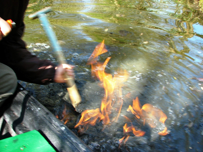 Embarcadère "Au Martin Pêcheur", Arçais - photo 7