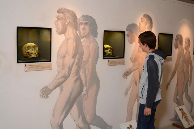 Musée des Tumulus de Bougon, Bougon - photo 9