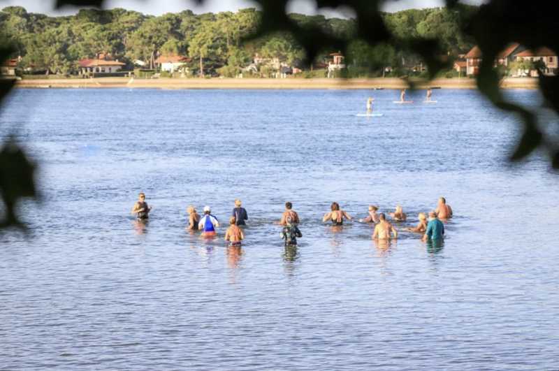 Marche aquatique au Lac