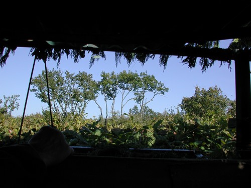 Tourtrès, du pech du moulin à vent au bois de Verteuil