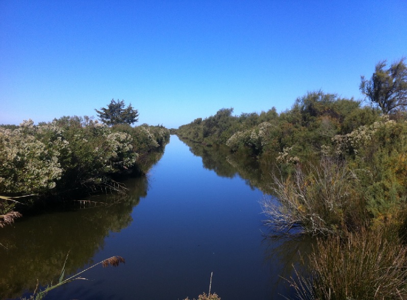 Ile de Malprat, Biganos