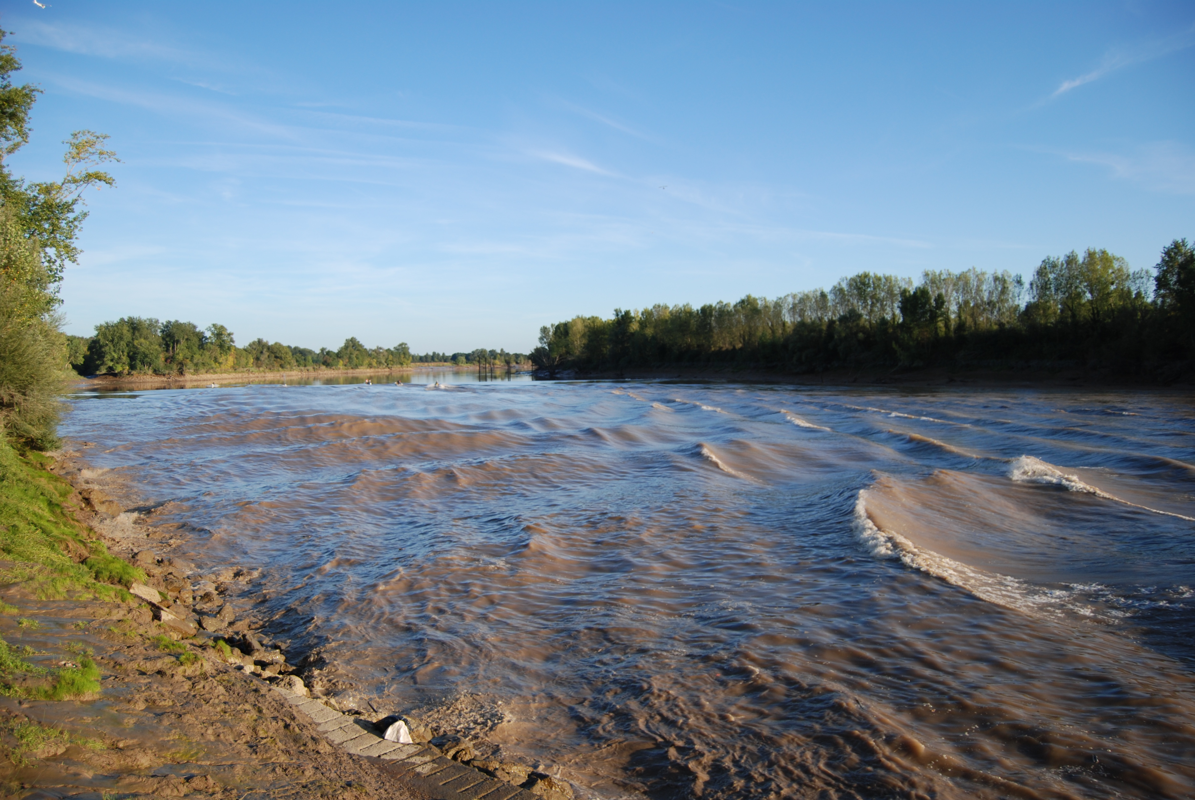 Descente de la Garonne en canoë avec observation du mascaret, Barsac - photo 3