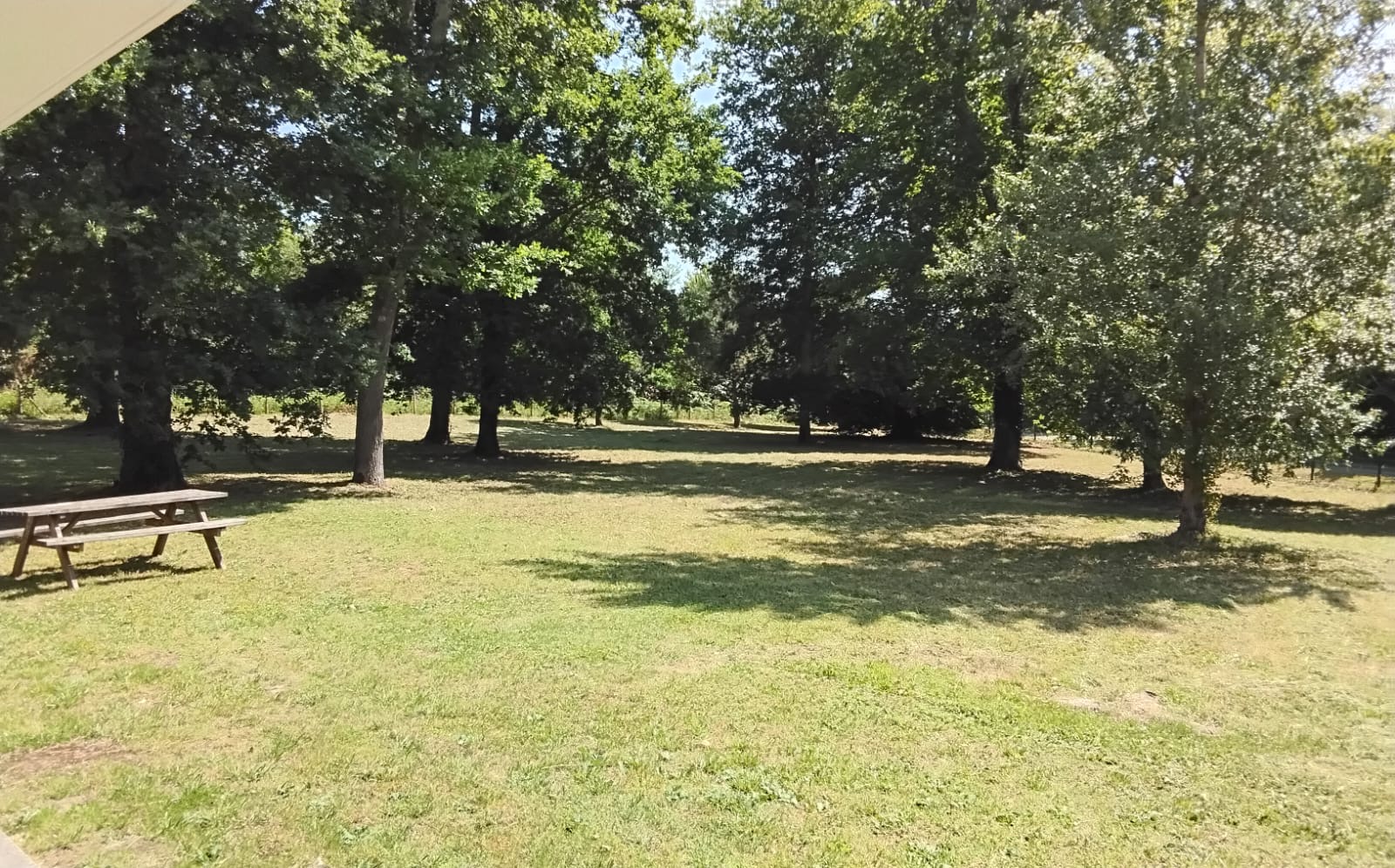 Sure Hotel by BestWestern, Saint-Pierre-du-Mont - photo 2