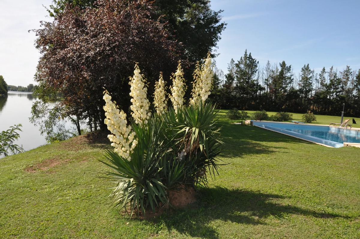 Gite Arnotis, Fongrave - photo 8