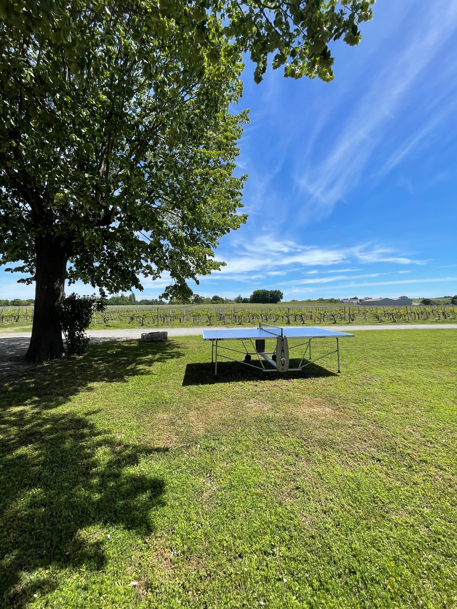 Gîte Château Magdeleine Bouhou, Cars