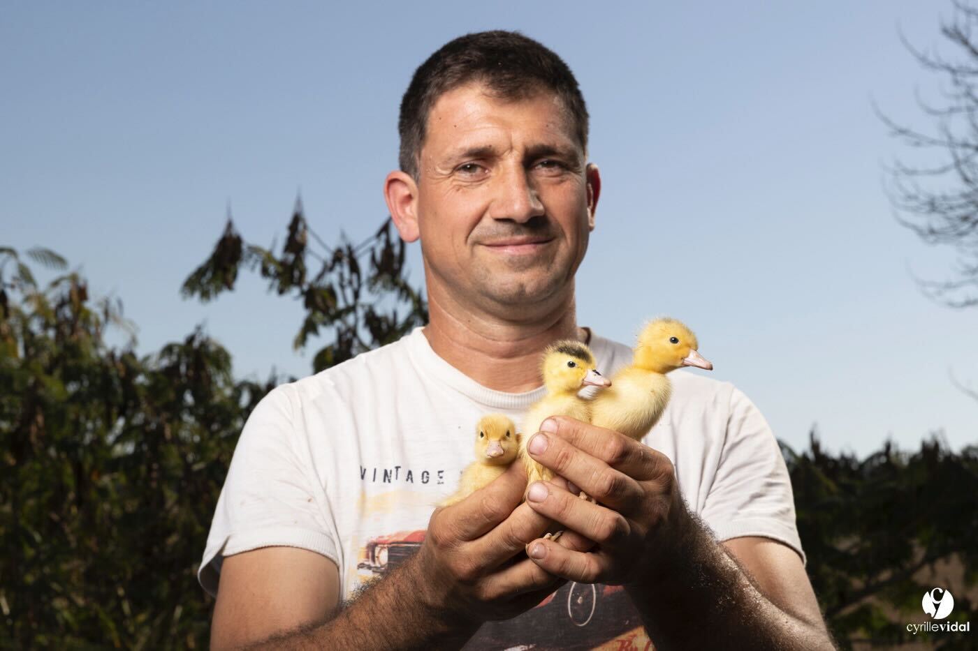 Ferme du Moulin de Labat - photo 3