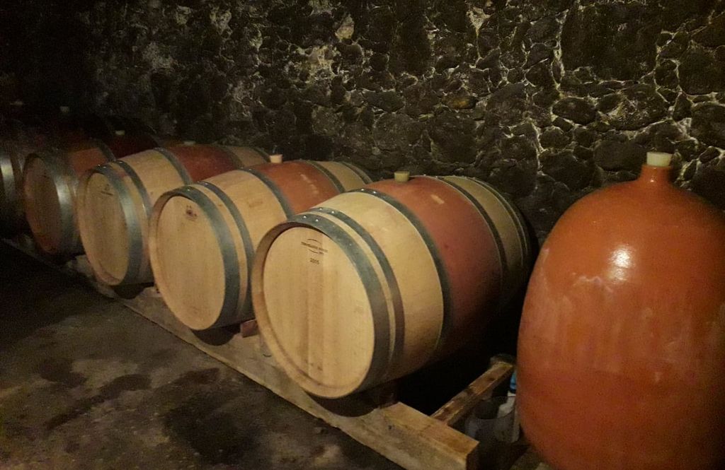 Clos de Noël - photo 3