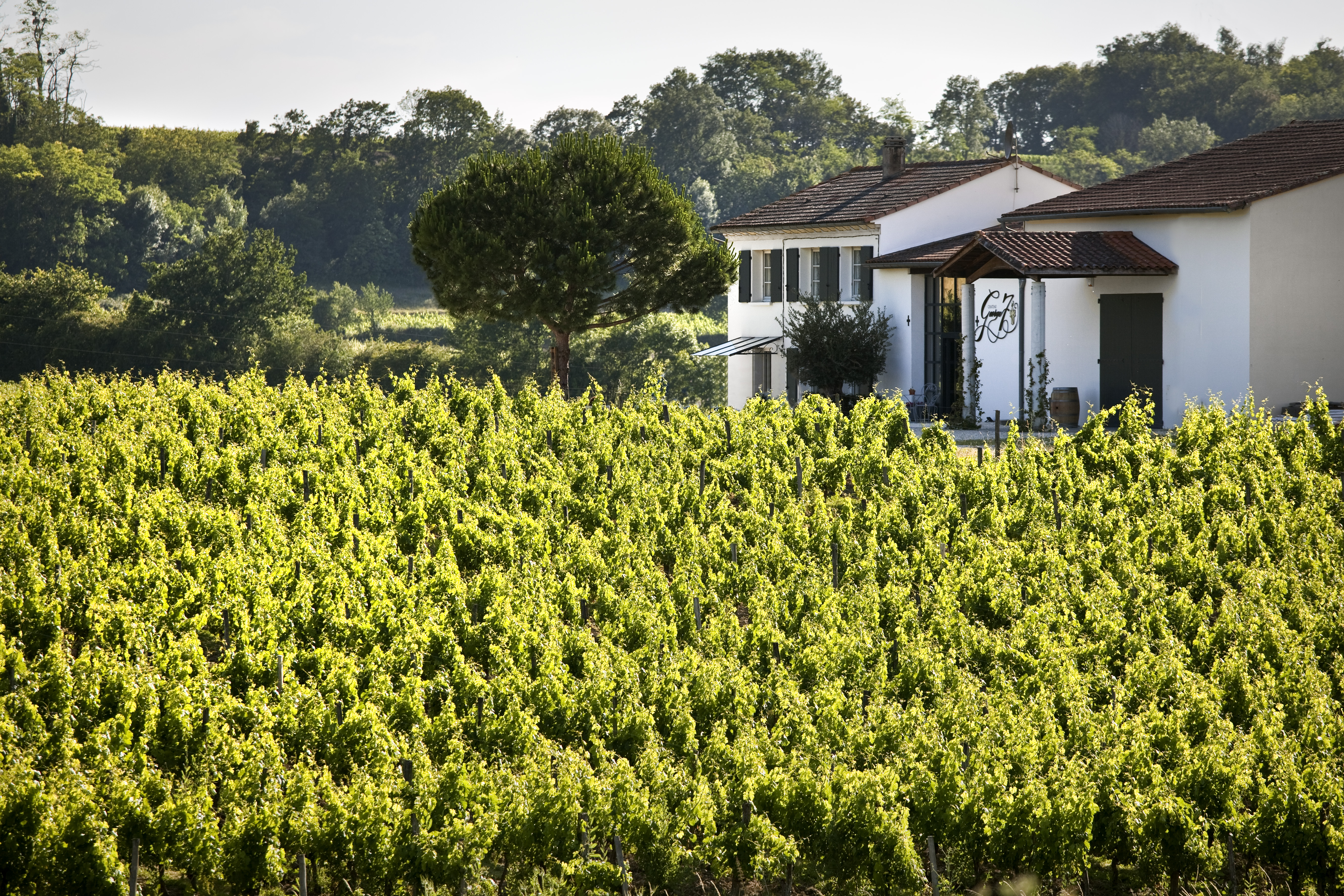 Château George 7 - photo 2