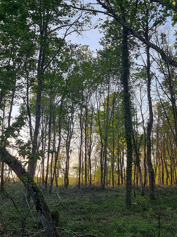 Gîte Pigerot, Lucbardez-et-Bargues - photo 13