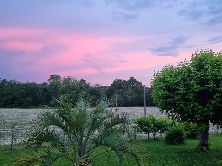 Gîte Pigerot, Lucbardez-et-Bargues - photo 7