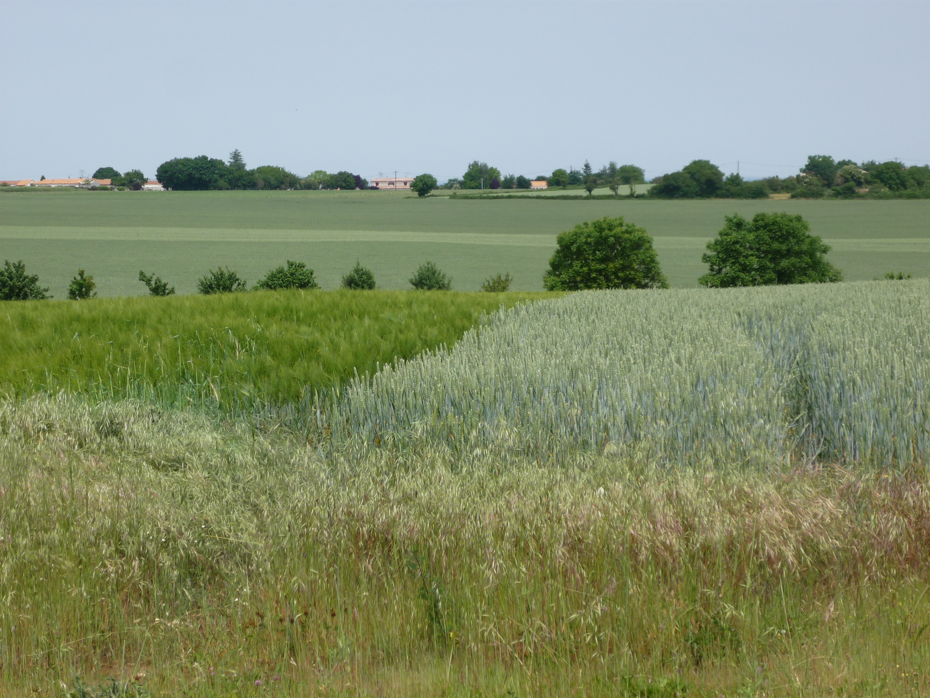 Saint-Rémy-en-Plaine vaut le des Tours, Saint-Rémy - photo 2