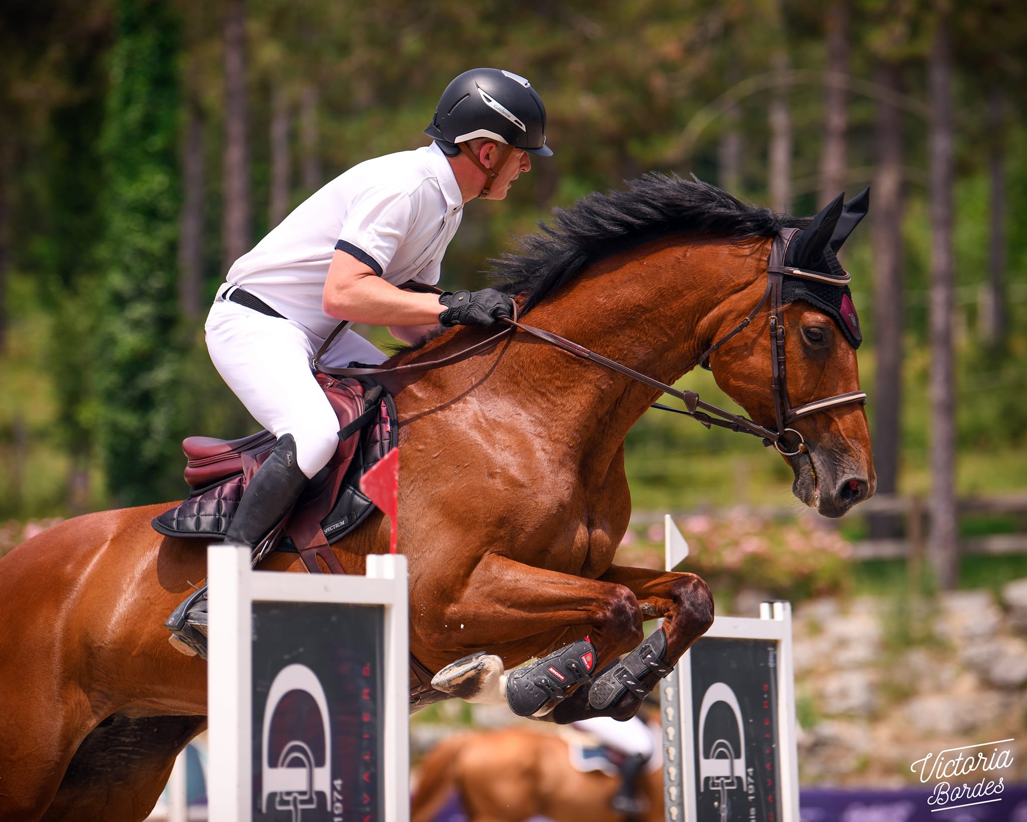 Ecurie landaise de Laugeron, Benquet - photo 2