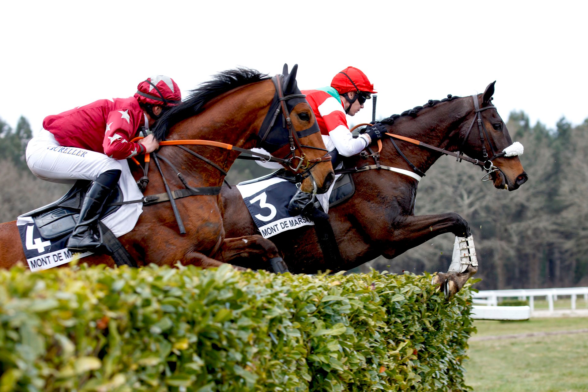Hippodrome de Mont de Marsan