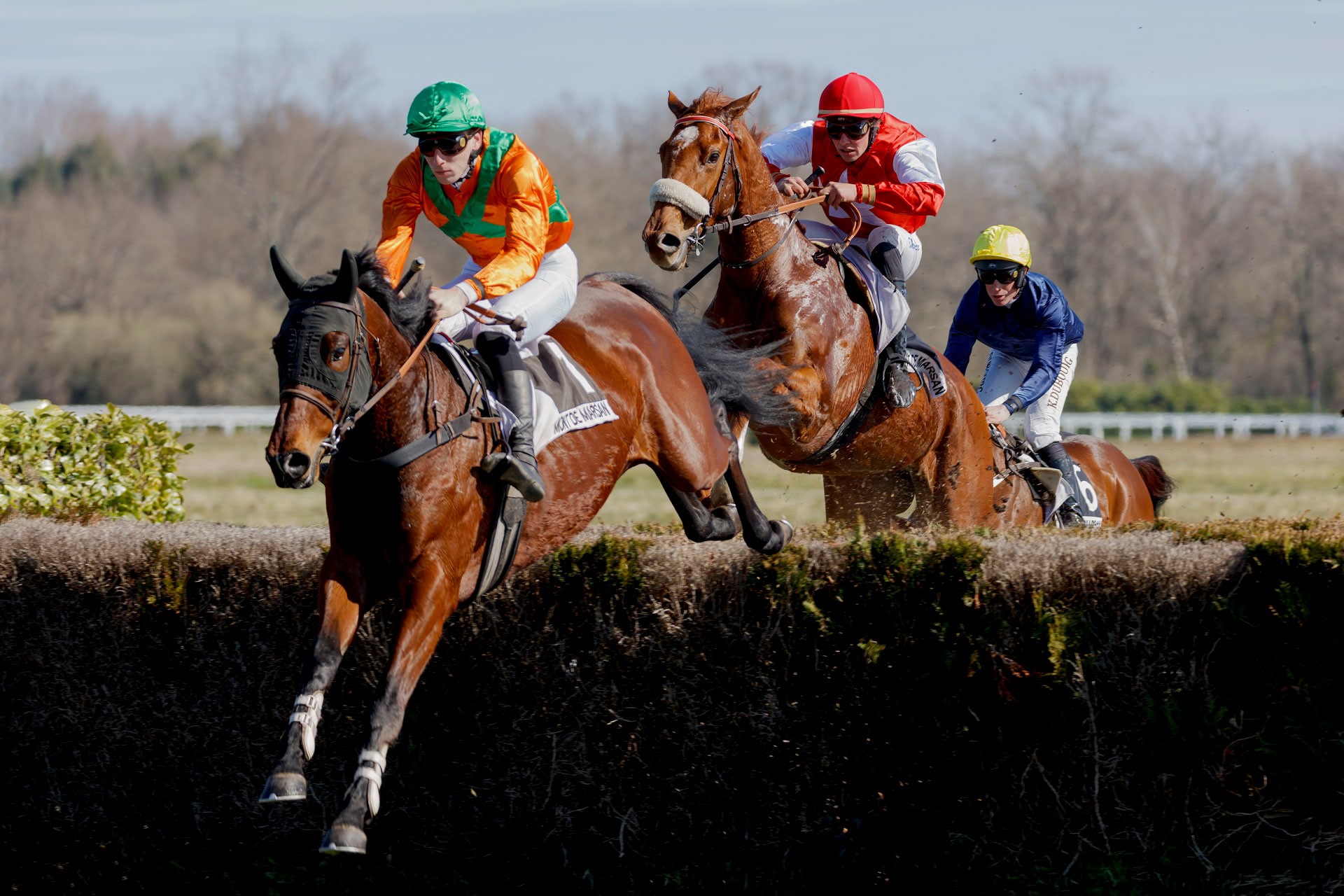 Hippodrome de Mont de Marsan — photo 3