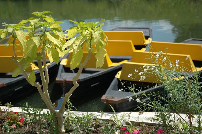 Embarcadère "La Pigouille"