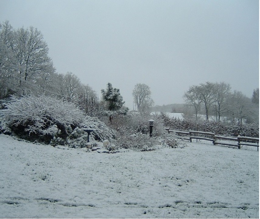 Le Moulin du Château, Dompierre-les-Églises - photo 53