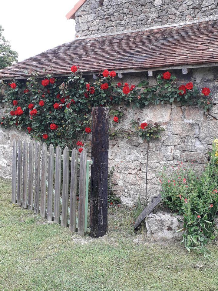 La Rivaille, Lussac-les-Églises - photo 176