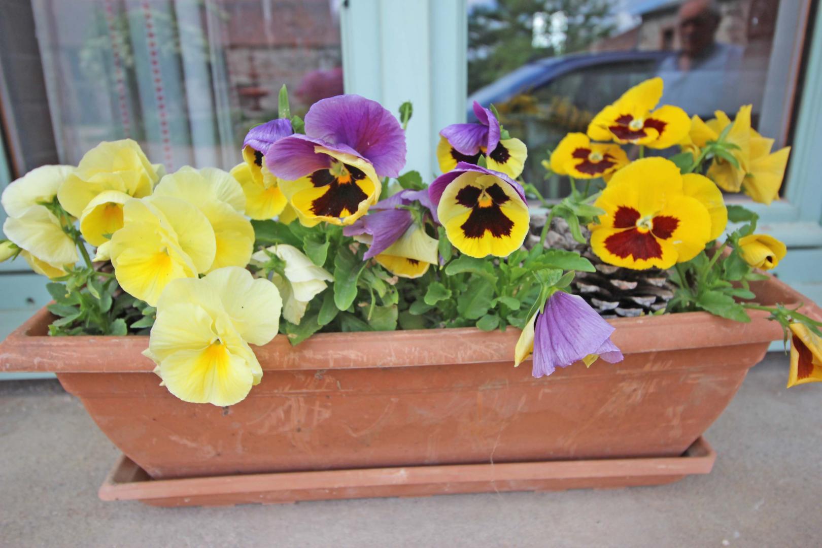 La Thibarderie - photo 2