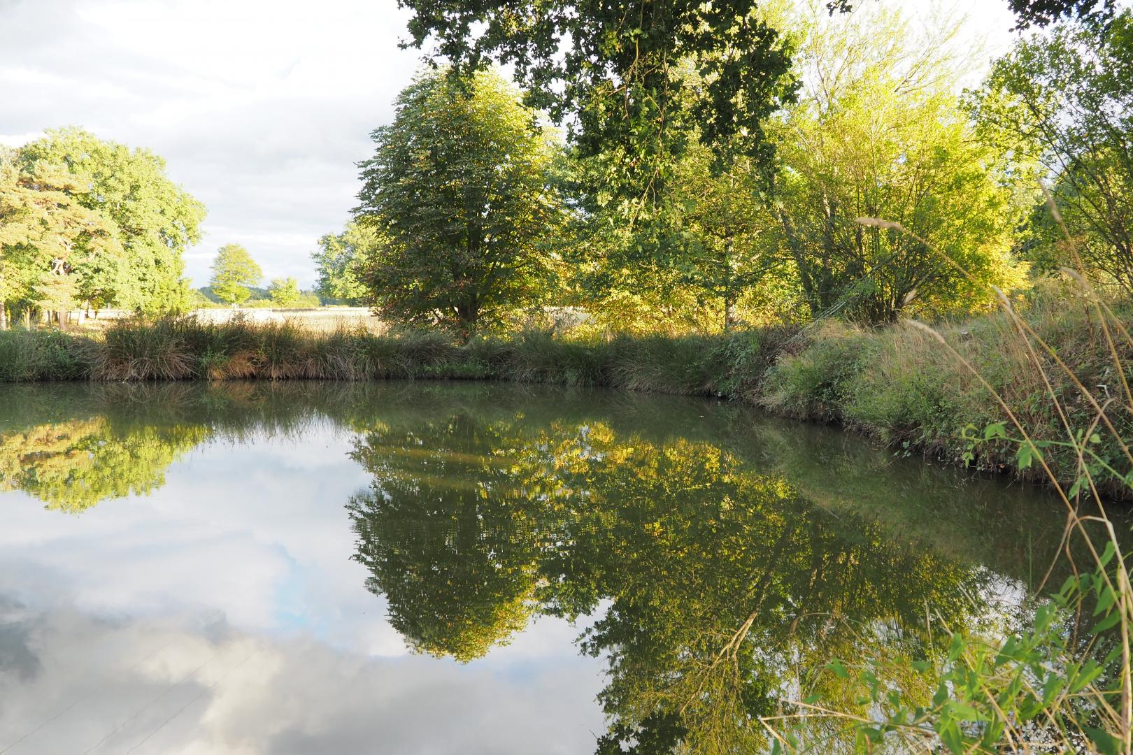 Montbrugnaud: "les trois chênes", Mailhac-sur-Benaize - photo 172