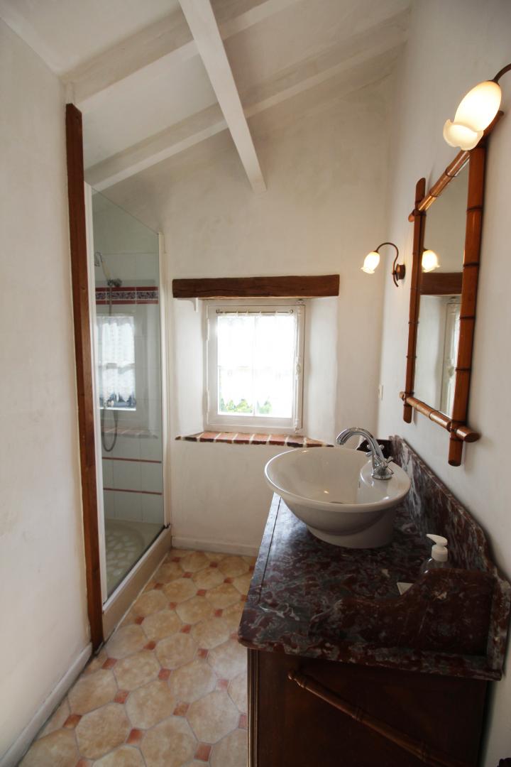 Mounismes du Bas, Saint-Ouen-sur-Gartempe - photo 14