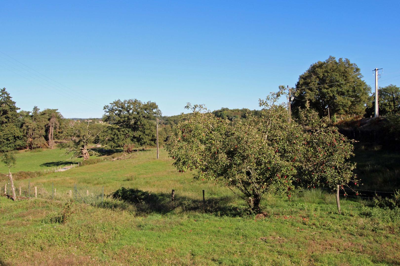Le Monteil, Saint-Sornin-Leulac - photo 29