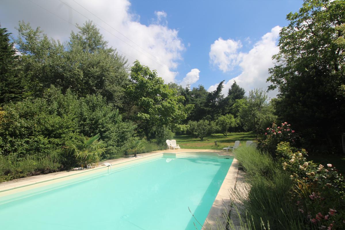 Peuchaud, Saint-Sulpice-les-Feuilles - photo 15