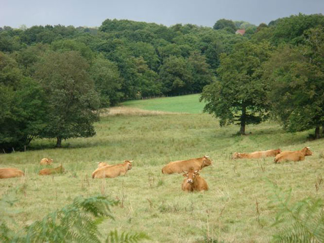 Maison Benoîton - photo 4