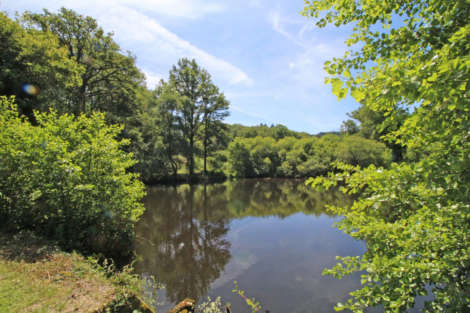 Beaufort, Blond - photo 116