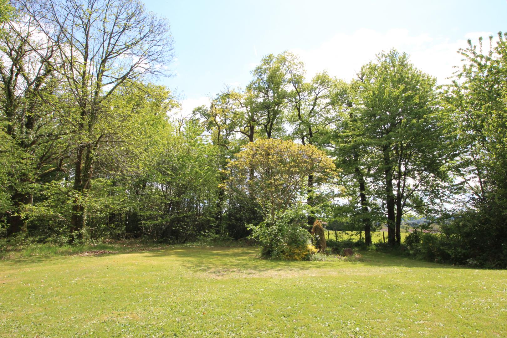 Ecogîte des Monts de Blond, Javerdat - photo 37
