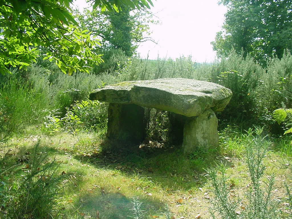 Ecogîte des Monts de Blond, Javerdat - photo 38