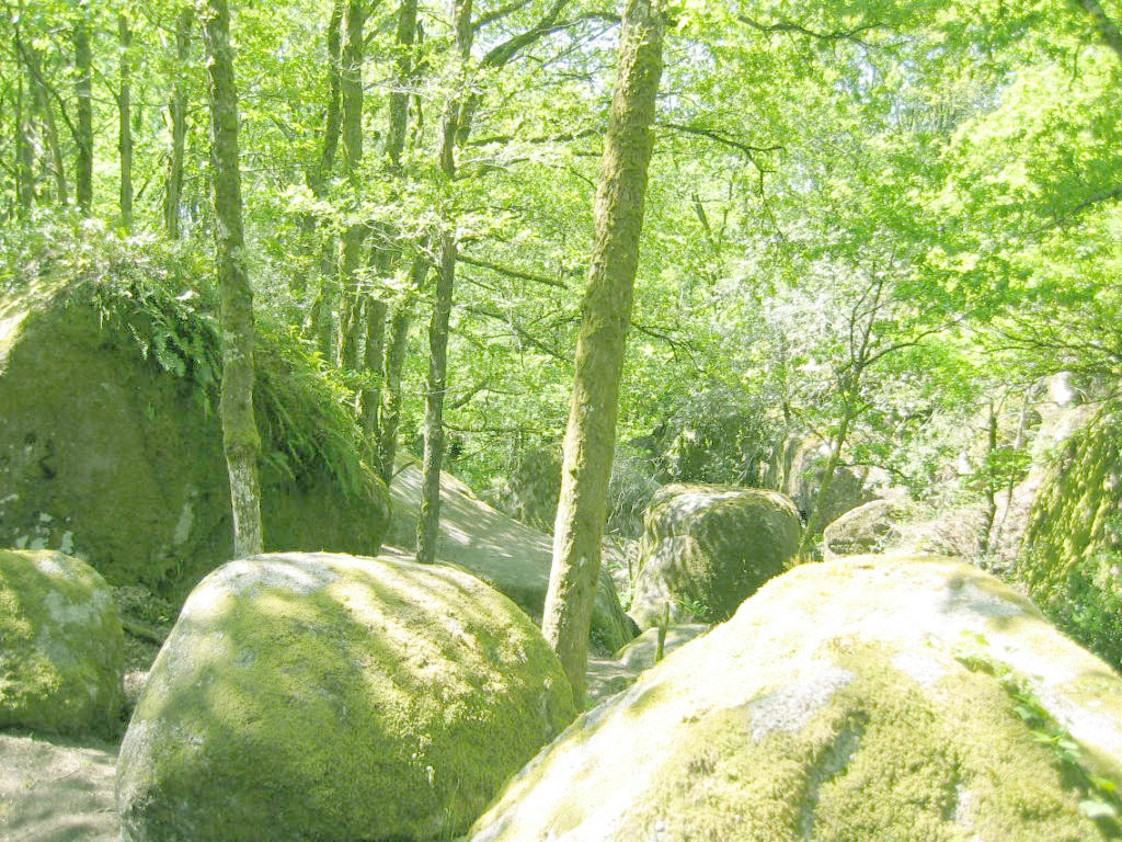Ecogîte des Monts de Blond, Javerdat - photo 52