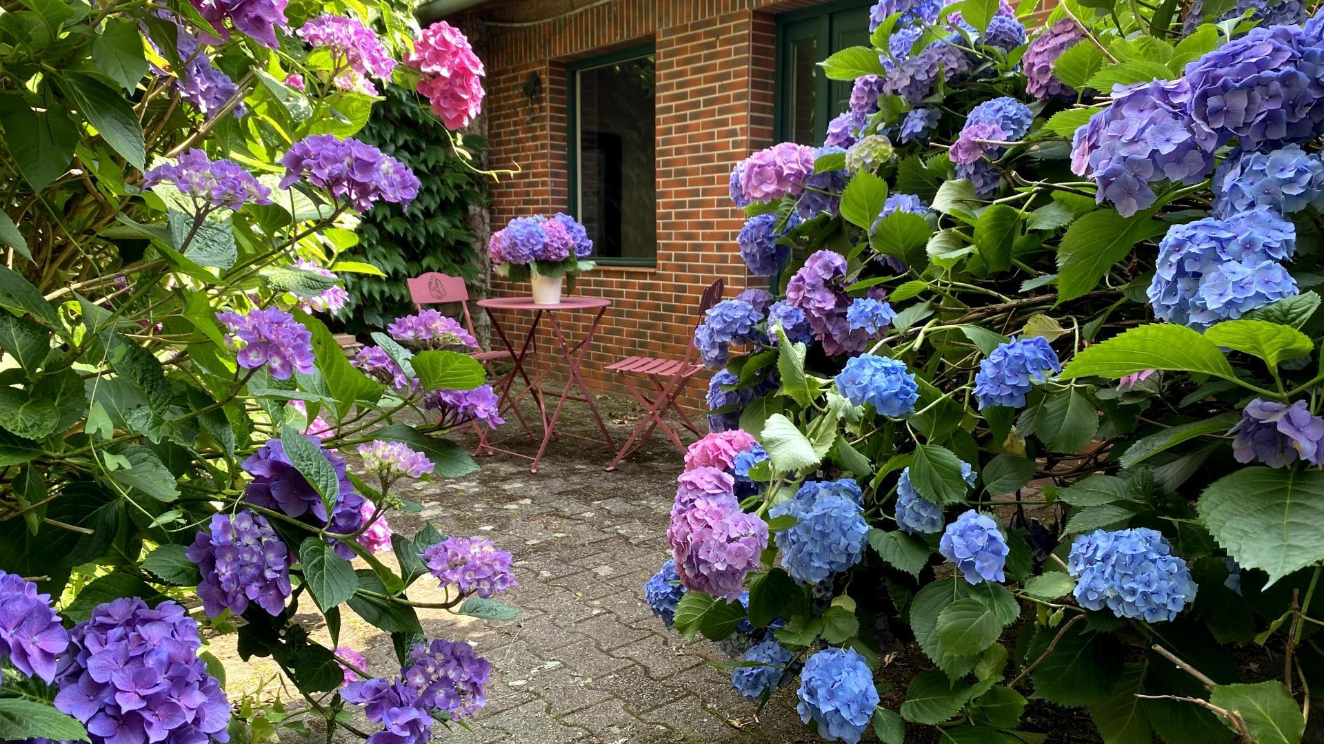 Lou Peyrahout - photo 4