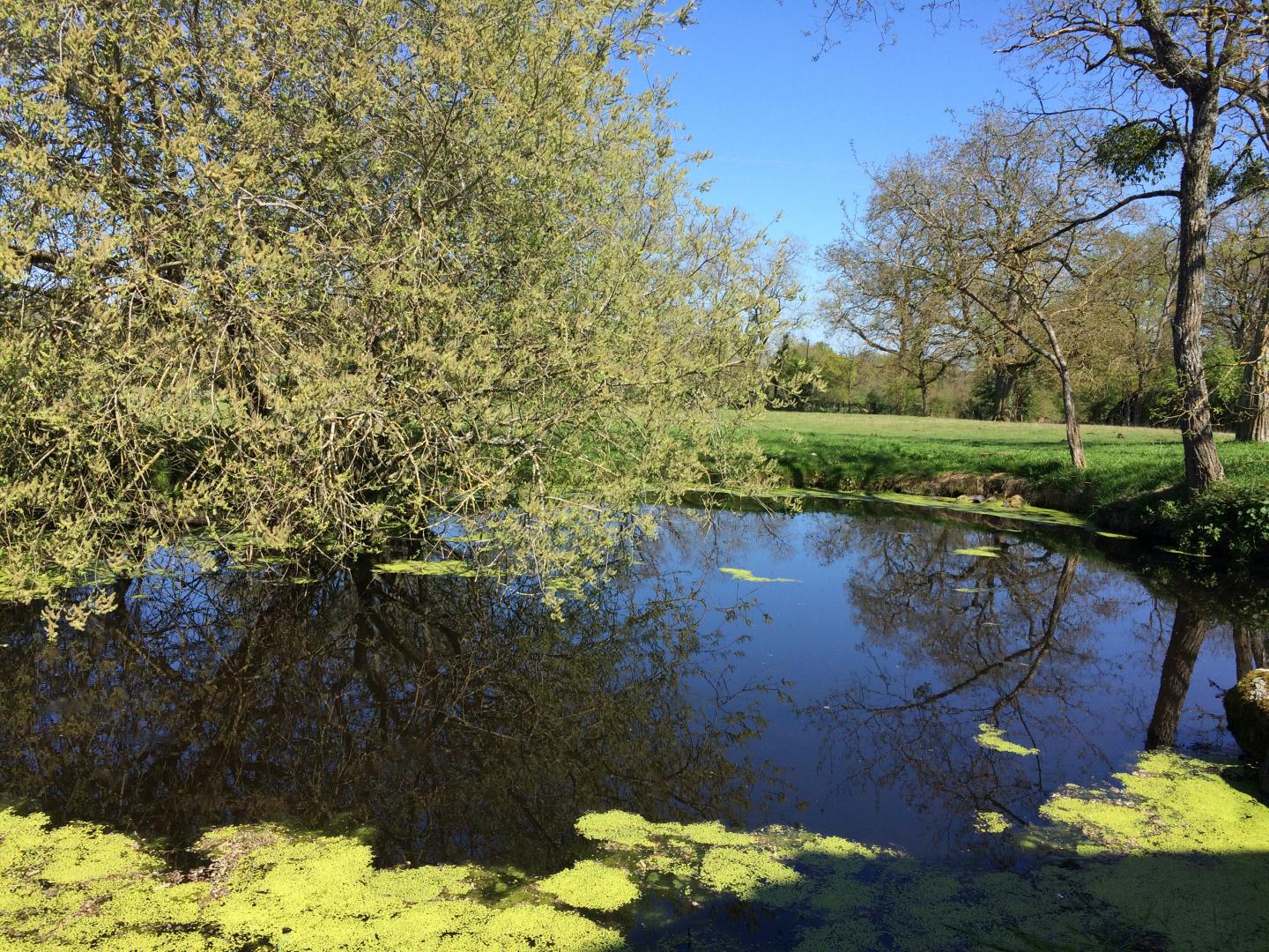 Gîte de groupe Gîte de l'Isop, Saint-Martial-sur-Isop - photo 2