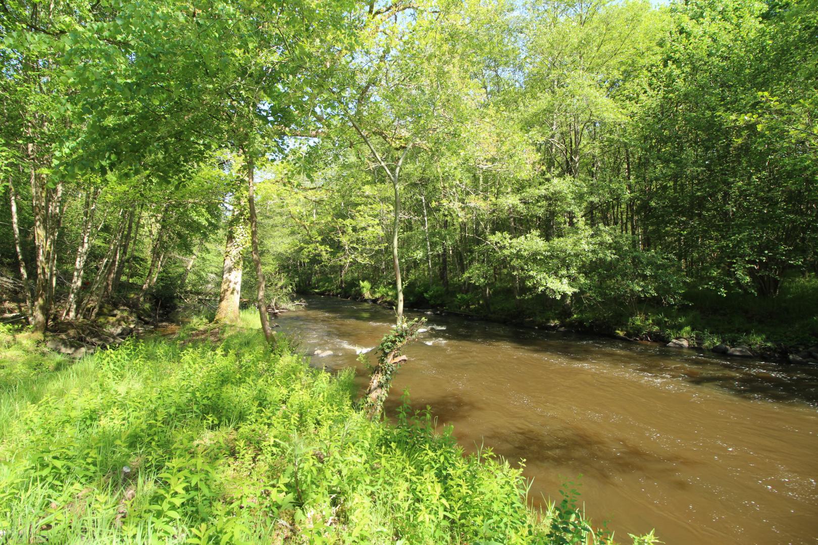 Trois ânes et un moulin