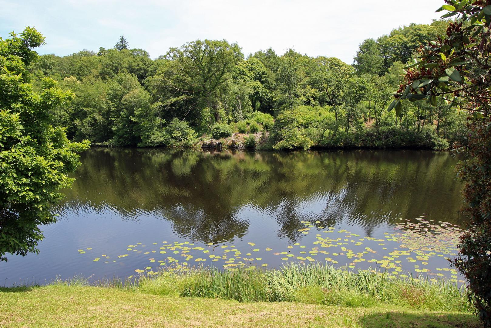 Dominant l'Etang, Compreignac - photo 41