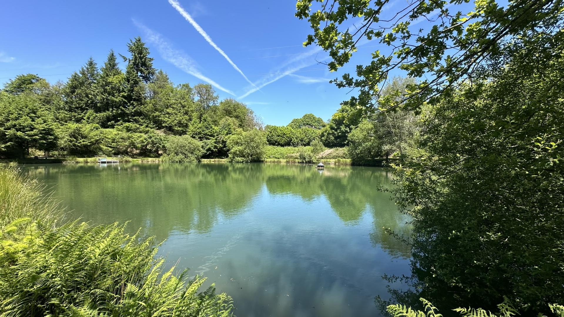 Gîte du Mas Sauvage — photo 3