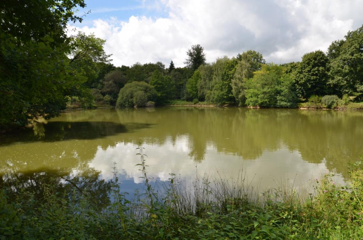 La Faye, Compreignac - photo 62