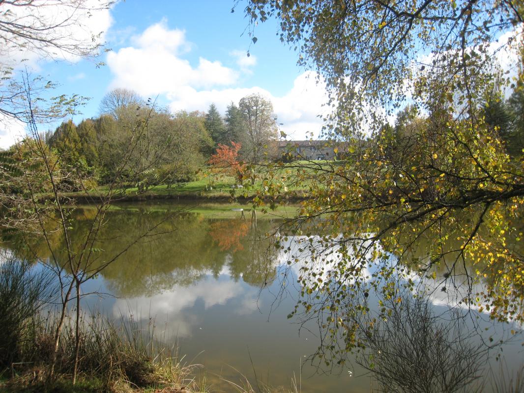 La Faye, Compreignac - photo 73